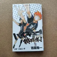 ハイキュー!! コンプリートガイドブック 排球本!