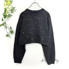 ZARA ザラ スタッズ クロップド丈 ニット セーター チャコールグレー M