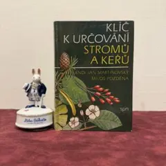 ❤️セール114⑤1983年チェコビンテージ植物図鑑　洋書古書　ジャンクジャーナル
