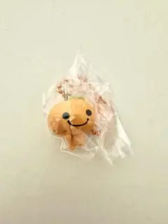 【新品、未開封】みかんぼうやのキーチェーン　サンエックスユニバースのチャーム