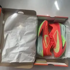 【新品未使用タグ付き】NIKE ZOOM FLY6