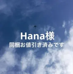 Hana様 リクエスト 3点 まとめ商品