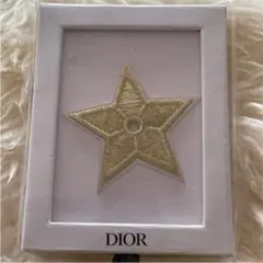 Diorピンバッジ　新品未使用