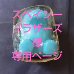 スペイシー ブラザーズ 様専用ページ