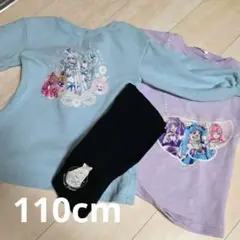 わんだふるぷりきゅあ　ひろがるスカイプリキュア　トレーナー セット　110