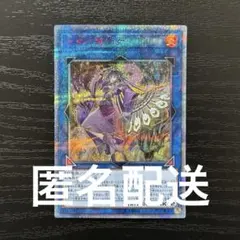 2026年最新】20th 龍仙女の人気アイテム - メルカリ