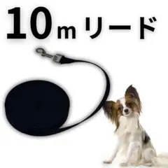 Item thumbnail for item 32107dc8-5b41-4258-b2c6-1da591549a8e