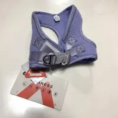 Item thumbnail for item d169df9b-886c-4d5c-903a-5bfc3771b84e