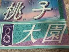 Item thumbnail for item 79e9e0a0-d15c-4594-b0f5-ffa15e970eba