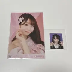 大谷映美里　idフォト　呪って呪って　ピンキー　生写真　ヨリ