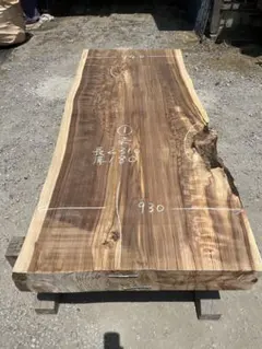 極希少・超大型268cm】天然木 ナラ一枚板 ダイニングテーブル 蝶の