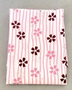 Item thumbnail for item 3f7d01d8-436a-4859-b80a-f7ce9ccd5671