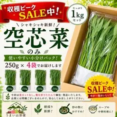2026年最新】空芯菜の人気アイテム - メルカリ