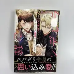 そのシンデレラストーリー、謹んでご辞退申し上げます