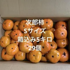 「次郎柿」　Sサイズ　箱込み5キロ　29個