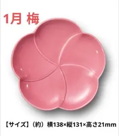 サントリー 金麦 はなやか皿 1月 梅 1枚