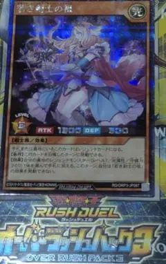 若き剣士