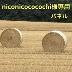 【niconicococochi様専用】パネル 9/1