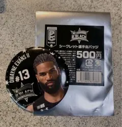 Item thumbnail for item 528af401-68ec-4069-8ec4-1d0fb3551818