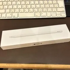 Apple Pencil ホワイト第2世代A2051 動作確認済み