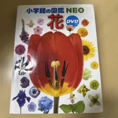 小学館の図鑑　NEO 花　DVDつき