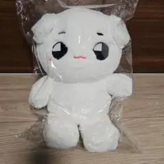 2025年最新】nct ぬいぐるみ 40cmの人気アイテム - メルカリ