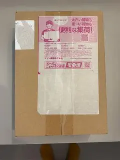 ポケモンカードゲーム インフェルノx 未開封box