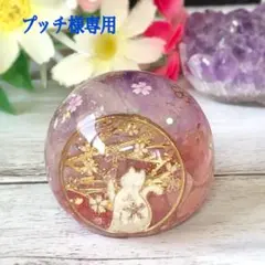 プッチ様専用ページです♥️