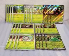 Hレギュ ドダイトスexRR ヤバソチャexRR 進化　ナエトル チャデス　他