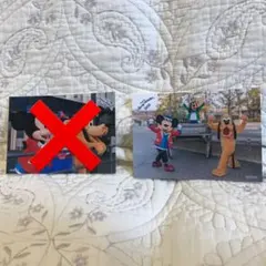 ディズニー　スペシャルフォト　ハローニューヨーク