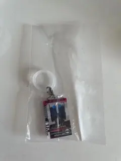 仮面ライダーシリーズめじるしアクセサリー ディケイド