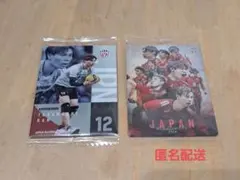 バレーボール　男子日本代表　ツインウエハース　2026　髙橋藍　集合A