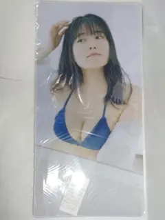 Item thumbnail for item 6636d7ce-fe10-4629-9917-a6d953385b09