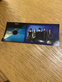 サカナクション sakanaction ステッカー　　レコード