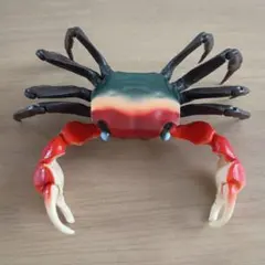 いきもの大図鑑 かに02 アカテガニ　黄色