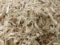 Item thumbnail for item cc712f2b-990d-4601-9ab4-c7055ec39883