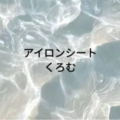 アイロンシート③