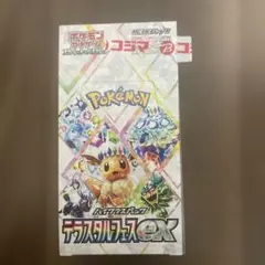 2025年最新】テラスタルフェスex boxの人気アイテム - メルカリ