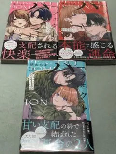 パーフェクト・ドミネーション 全3巻