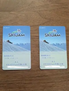 SKIJAM スキージャム 勝山 リフト大人平日・１日券