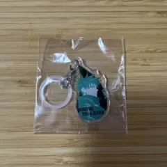 呪術廻戦　伏黒恵　アクリルチャーム