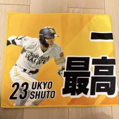ソフトバンクホークス 周東佑京 応援タオル