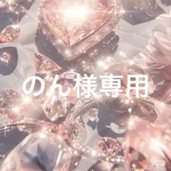 のん様専用
