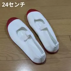 【記名跡のみ新品未使用】上履き ホワイト/レッド 24.0 EE