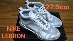 Item thumbnail for item 61534774-aa95-42d2-a7bb-37a28381456c