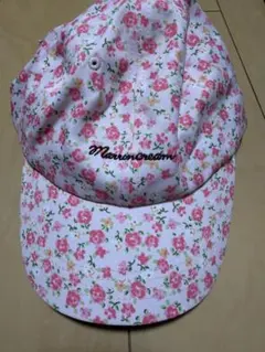 Item thumbnail for item 518312d9-7fed-428b-a168-3065de87a58e