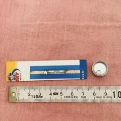 リーメントのミニチュアチキンの缶詰☆ぷちサンプルカウズマート