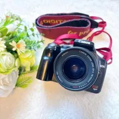 動作確認済み美品新品電池Canonデジタル一眼レフカメラDS6041メモリー付き 2025年最新】キャノン DS6041の人気アイテム - メルカリ