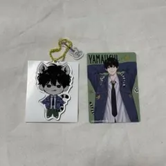 【ピンクパートジャム】　アクリルキーホルダー　アクキー　カード　トレカ　【山内】