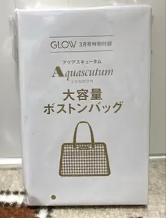 GLOW 3月号 付録 アクアスキュータム 大容量ボストン バッグ